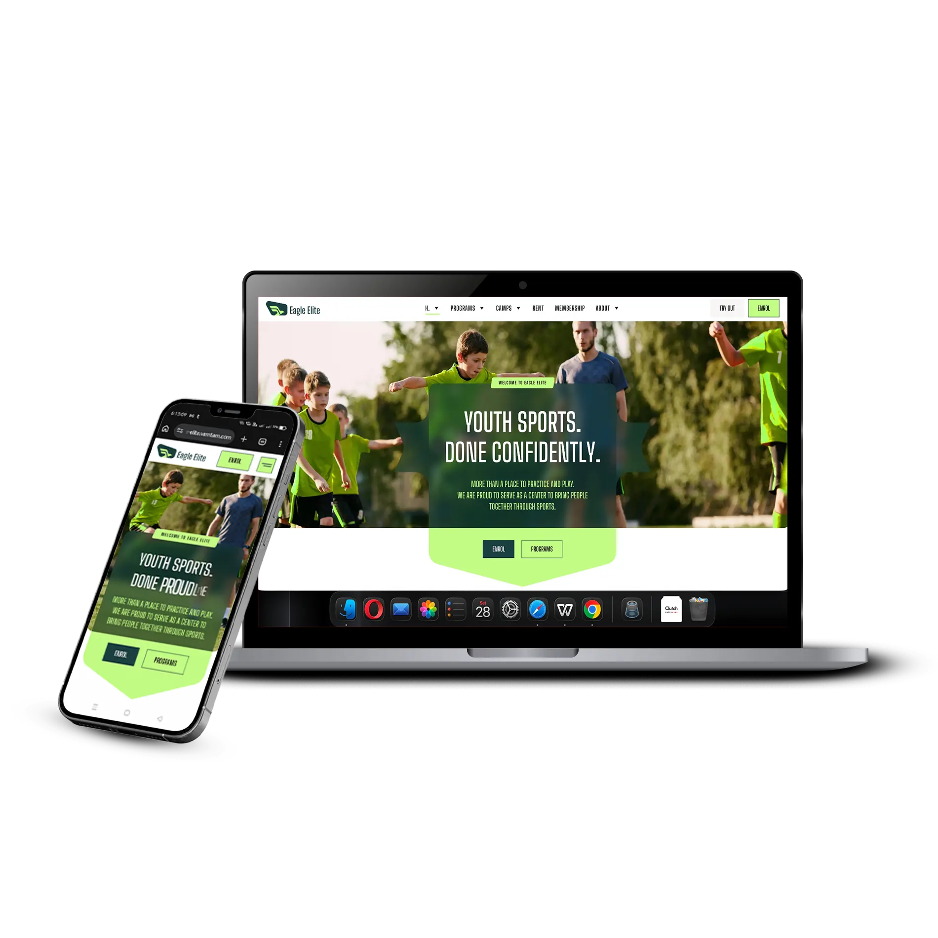 Custom WordPress website project preview